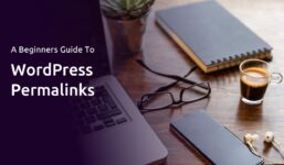 Beginner’s Guide to WordPress Permalinks | DreamHost