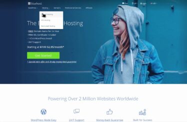 bluehost review