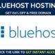 bluehost review