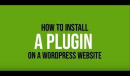 HostPapa Knowledge Base: How to Install a Plugin on a WordPress Website

 Video Tutorial Hostpapa