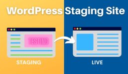 How to Create a WordPress Staging Site (Manually, Free)

 Video Tutorial DreamHost