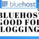 bluehost review