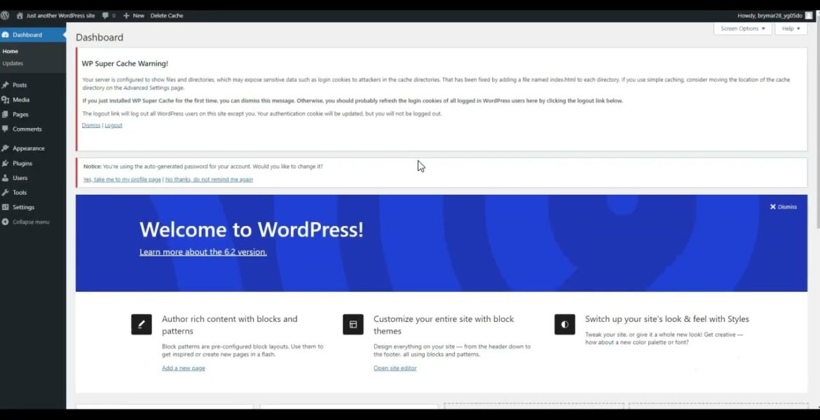 Setting Up Your Ecommerce Website with DreamHost: A Beginner's Guide to Installing WordPress