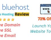 bluehost review