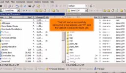 FTP: How to configure your website in WinSCP

 Video Tutorial Hostpapa