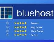 bluehost review