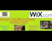 wix review