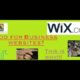 wix review