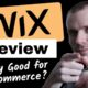 wix review