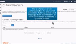 cPanel: How to create an autoresponder

 Video Tutorial Hostpapa