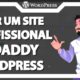 godaddy tutorial